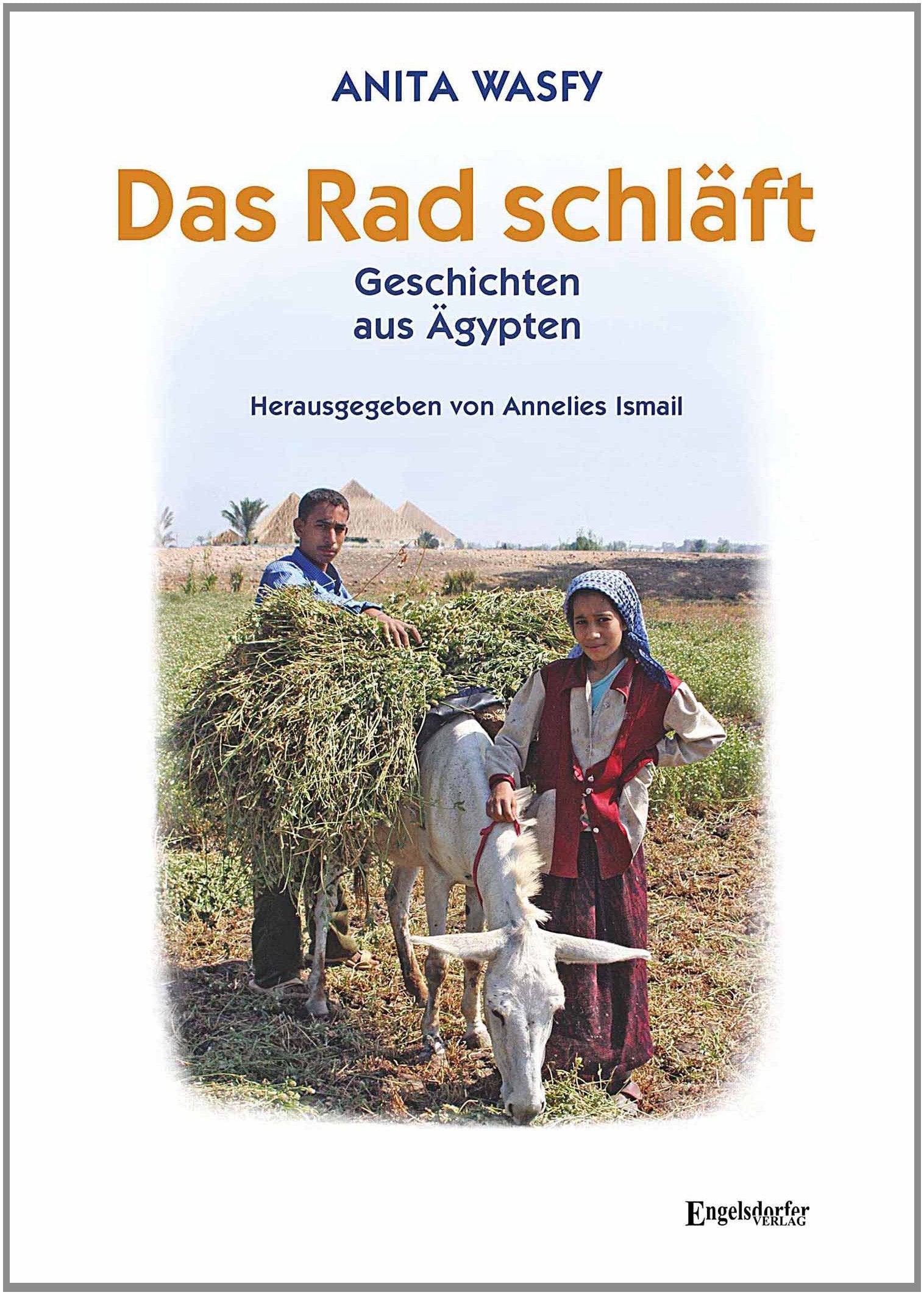 Das Rad schläft: Geschichten aus Ägypten Contemporary literature