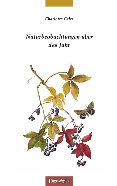 Naturbeobachtungen über das Jahr: Aquarelle und Aufzeichnungen Leisure, Home & Garden