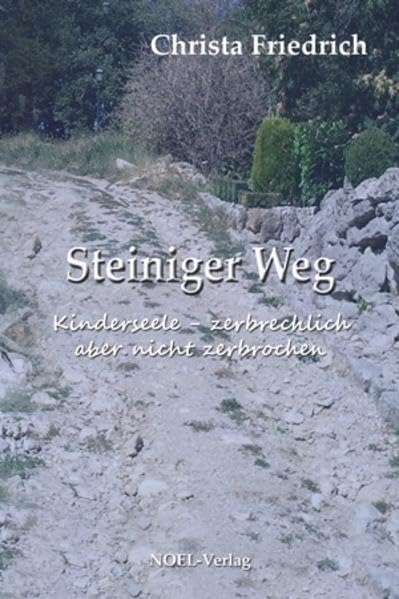 Steiniger Weg Contemporary literature Books