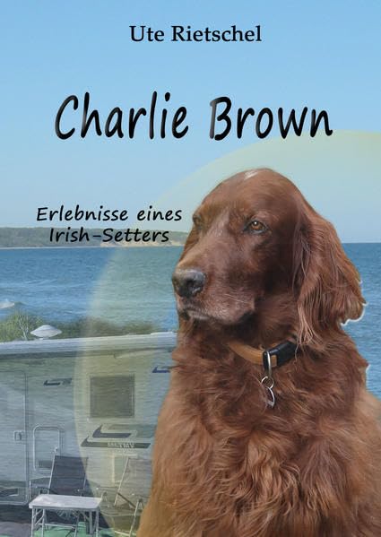 Charlie Brown Personalities Books
