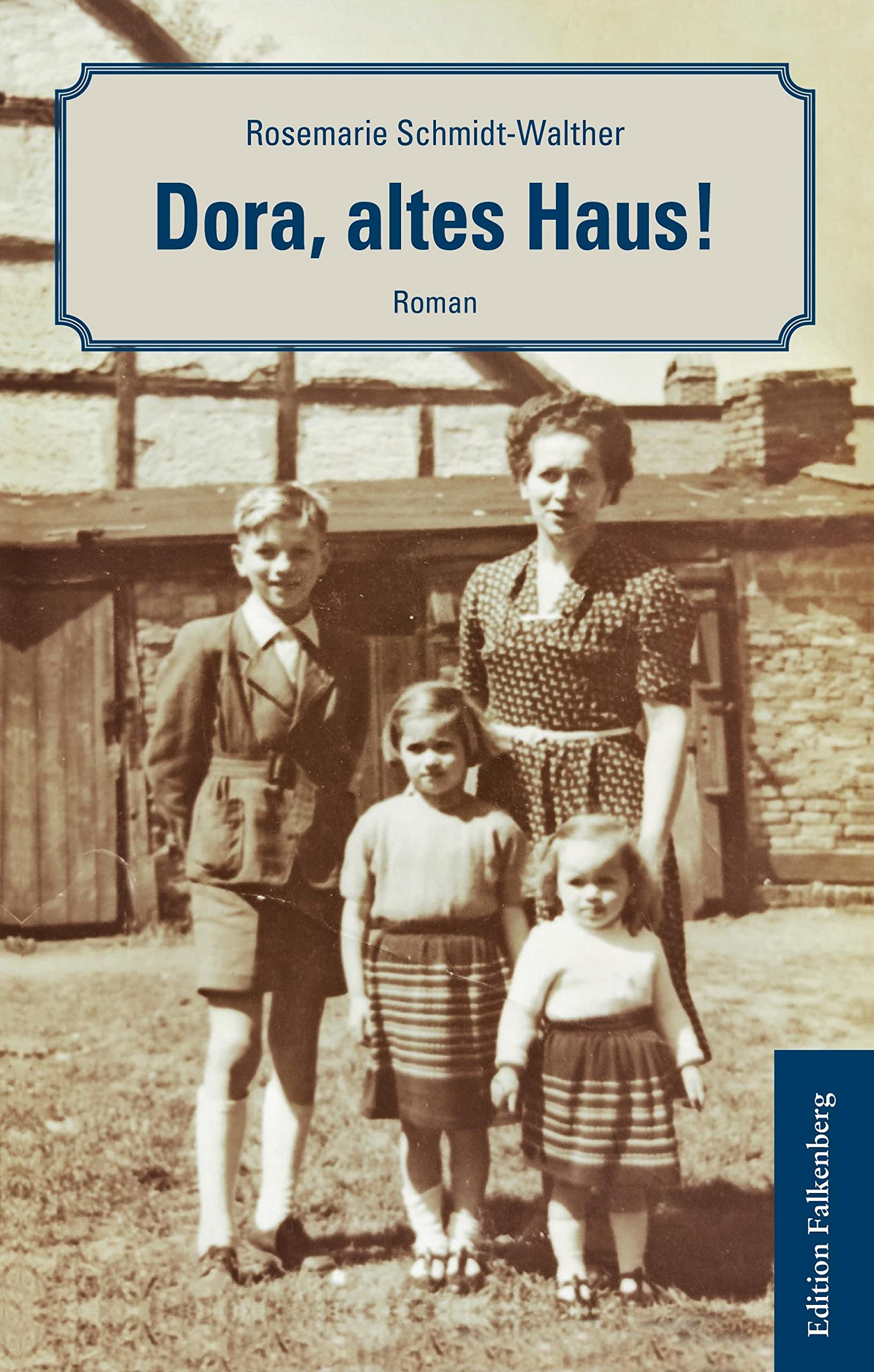 Dora, altes Haus!: Roman Contemporary literature