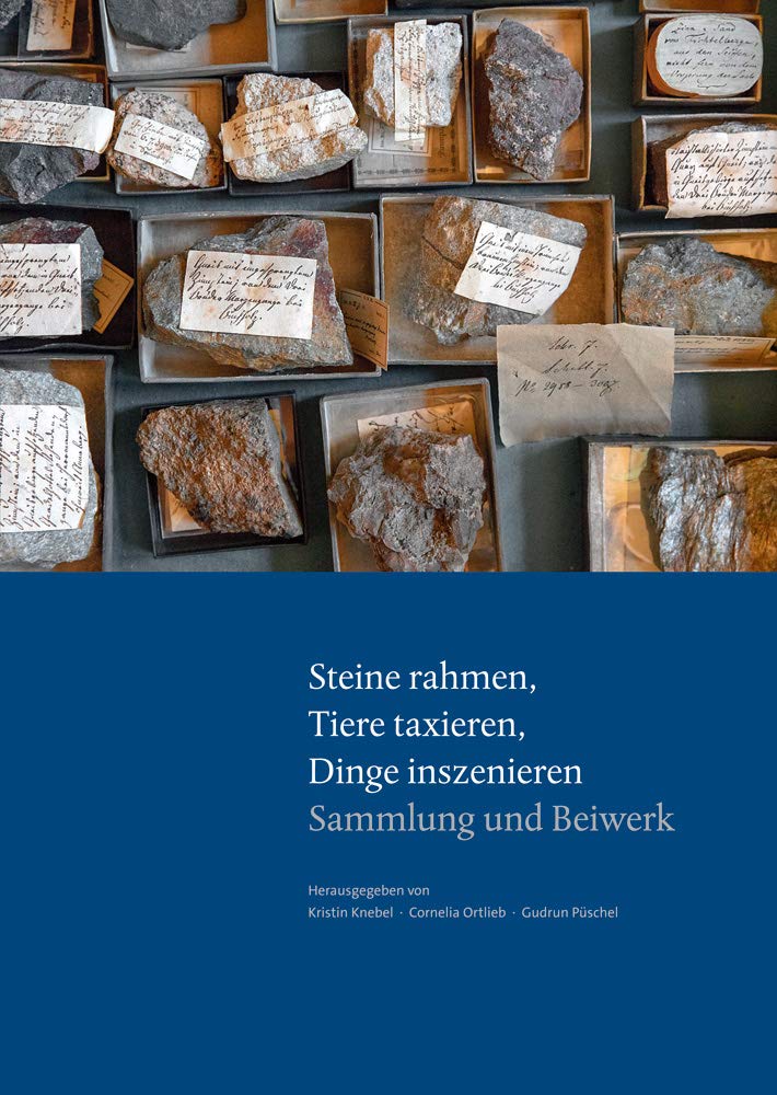Steine rahmen, Tiere taxieren, Dinge inszenieren Film, Art & Culture