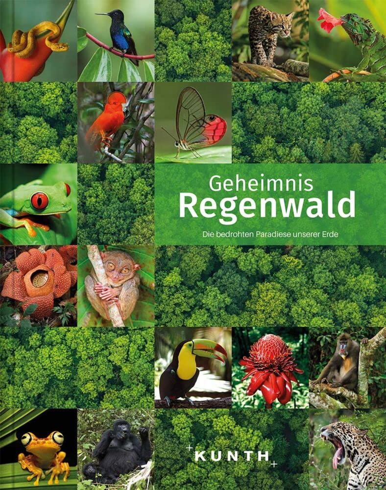KUNTH Bildband Geheimnis Regenwald Geology & Geography