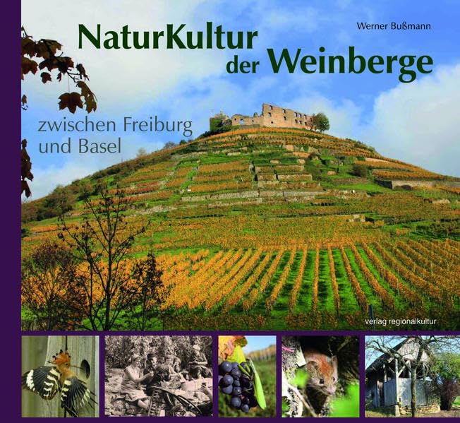 NaturKultur der Weinberge zwischen Freiburg und Basel Leisure, Home & Garden