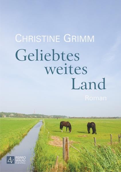 Geliebtes weites Land Contemporary literature