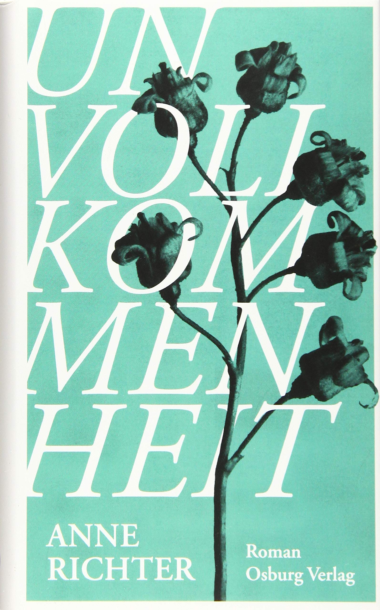Product Image: Unvollkommenheit