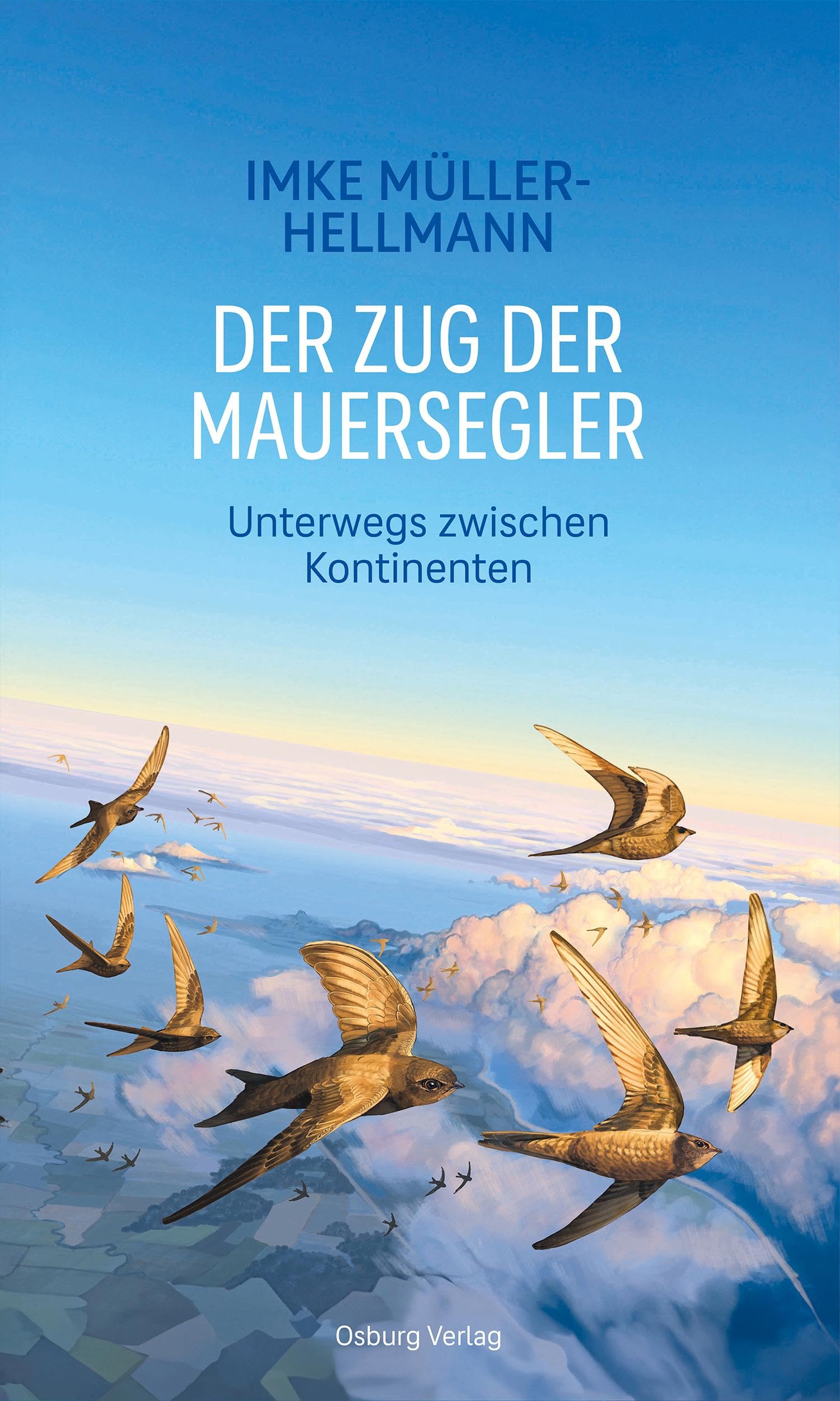 Der Zug der Mauersegler Mathematics Books