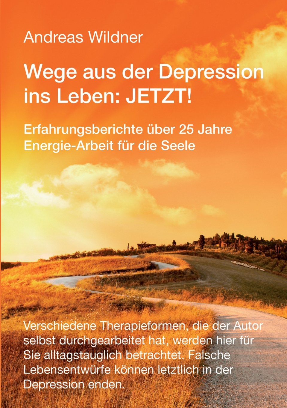 Wege aus der Depression ins Leben: JETZT !: Erfahrungsberichte über 25 Jahre Energie-Arbeit für die Seele Parents & Children