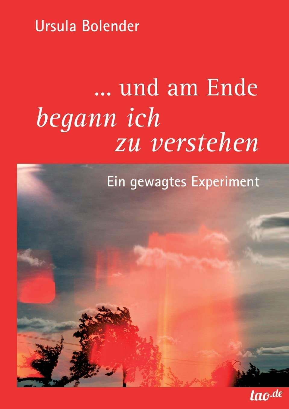 ... und am Ende begann ich zu verstehen: Ein gewagtes Experiment Memories