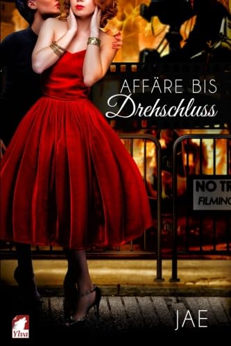 Affäre bis Drehschluss (Hollywood-Serie, Band 5) Contemporary literature Books
