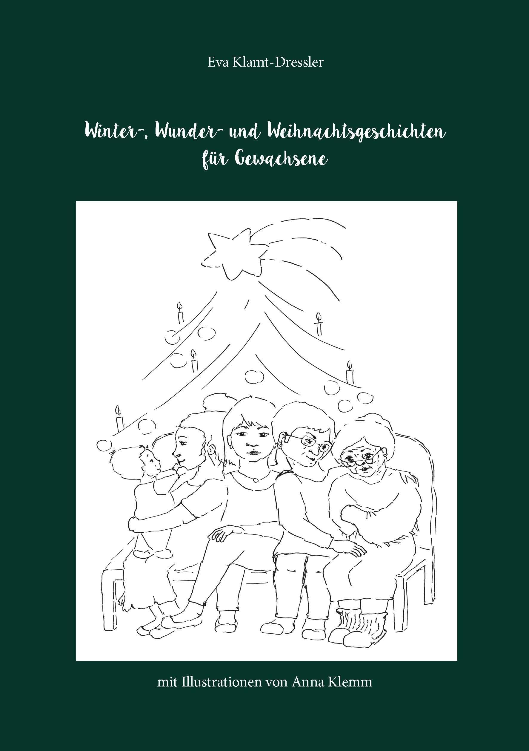 Winter-, Wunder- und Weihnachtsgeschichten Contemporary literature