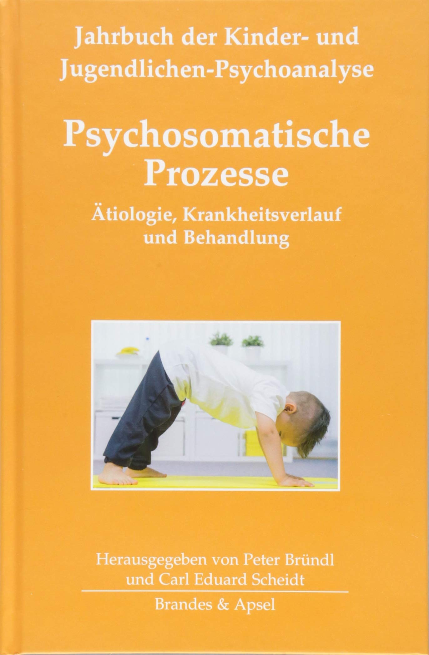 Psychosomatische Prozesse Psychology