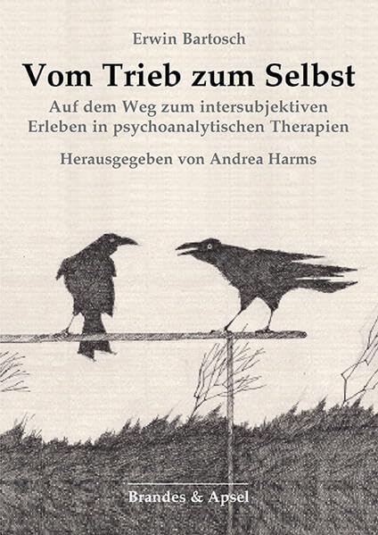 Product Image: Vom Trieb zum Selbst