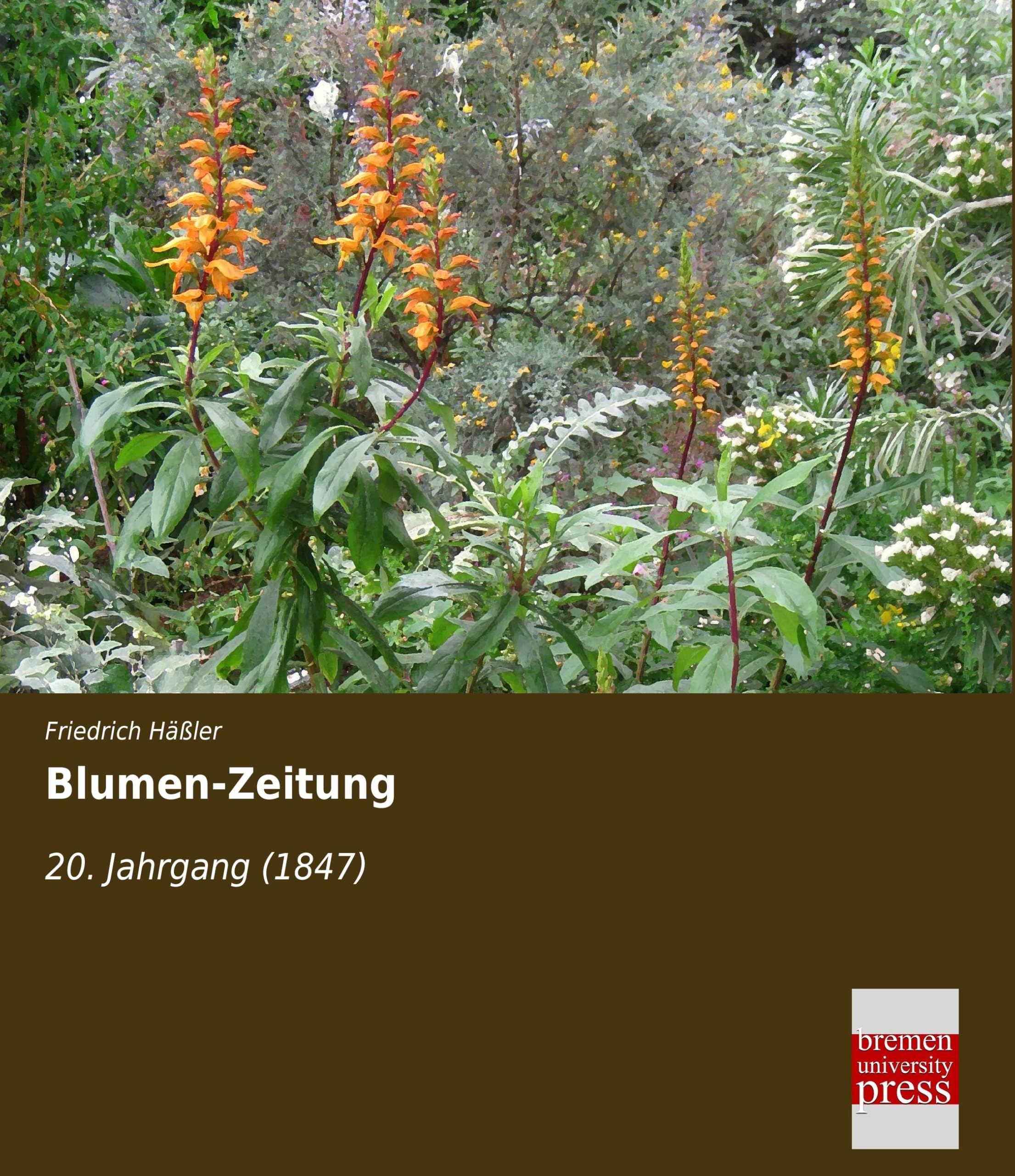 Product Image: Blumen-Zeitung