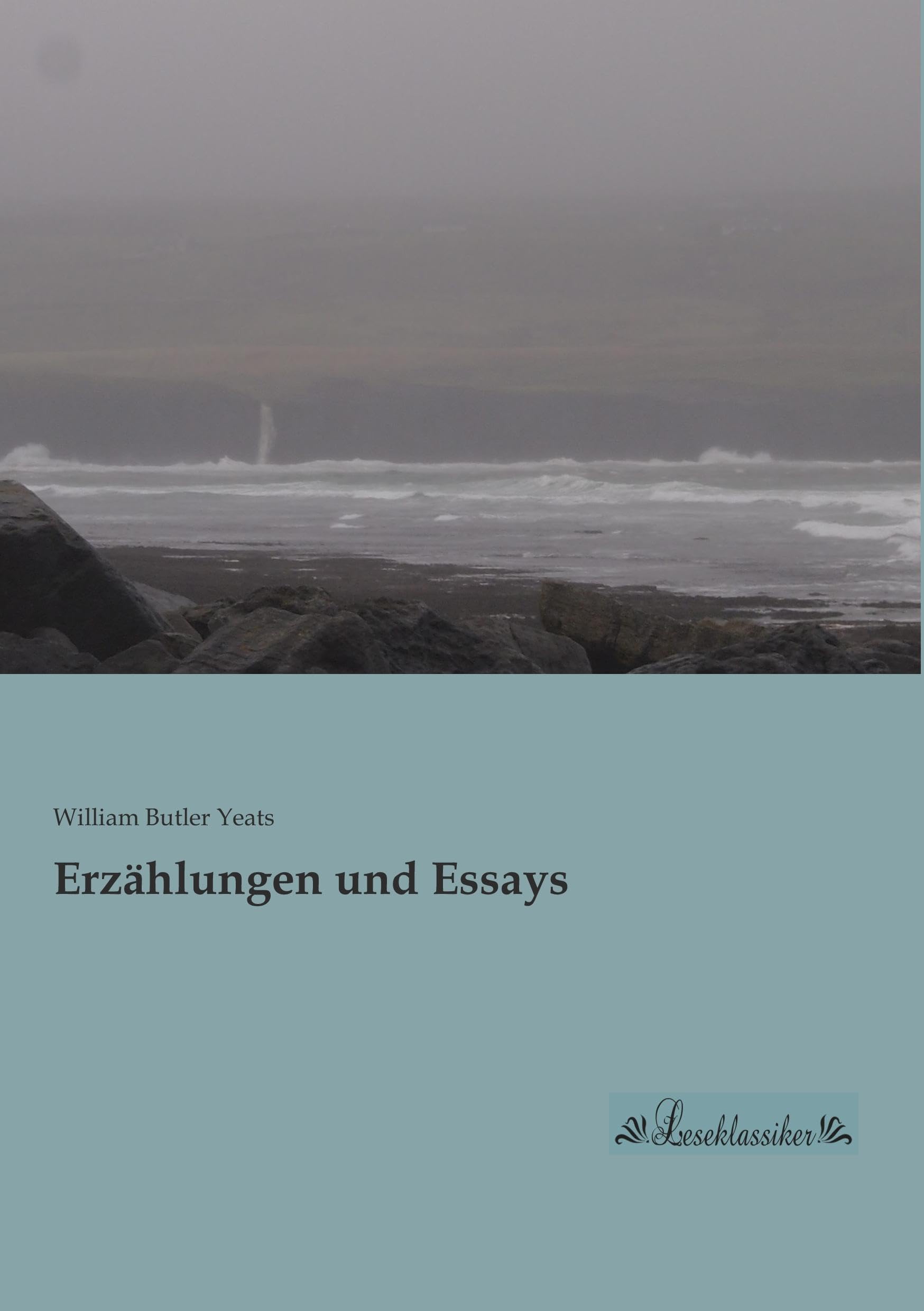 Erzählungen und Essays Contemporary literature