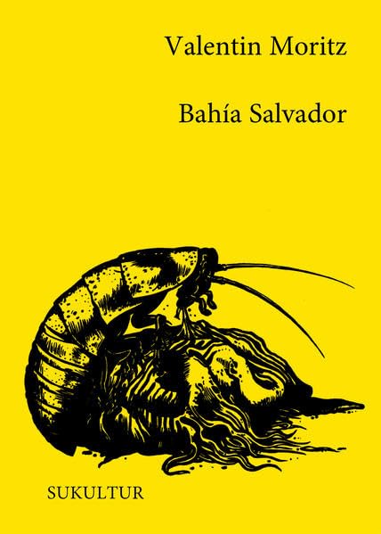 Bahía Salvador (Schöner Lesen) Contemporary literature