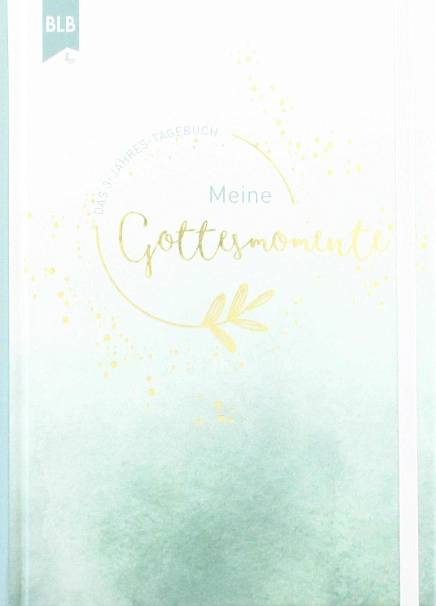 Meine Gottesmomente: Liebevoll gestaltetes Kalendertagebuch über 3 Jahre Religion & Esotericism