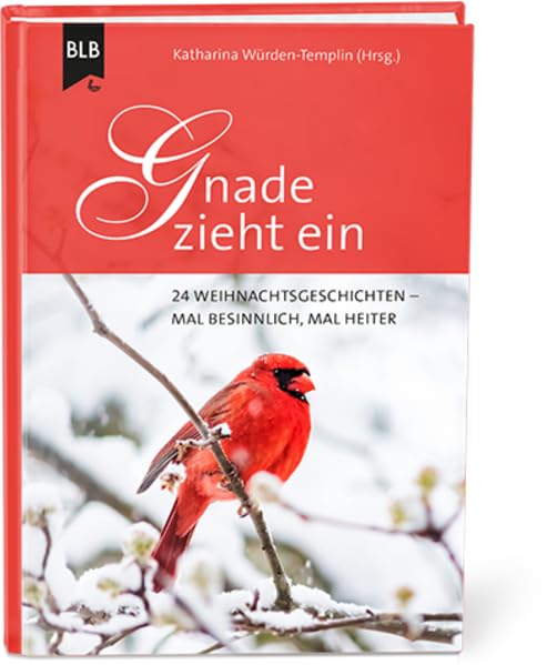 Gnade zieht ein: 24 Weihnachtsgeschichten Essays & Short Stories