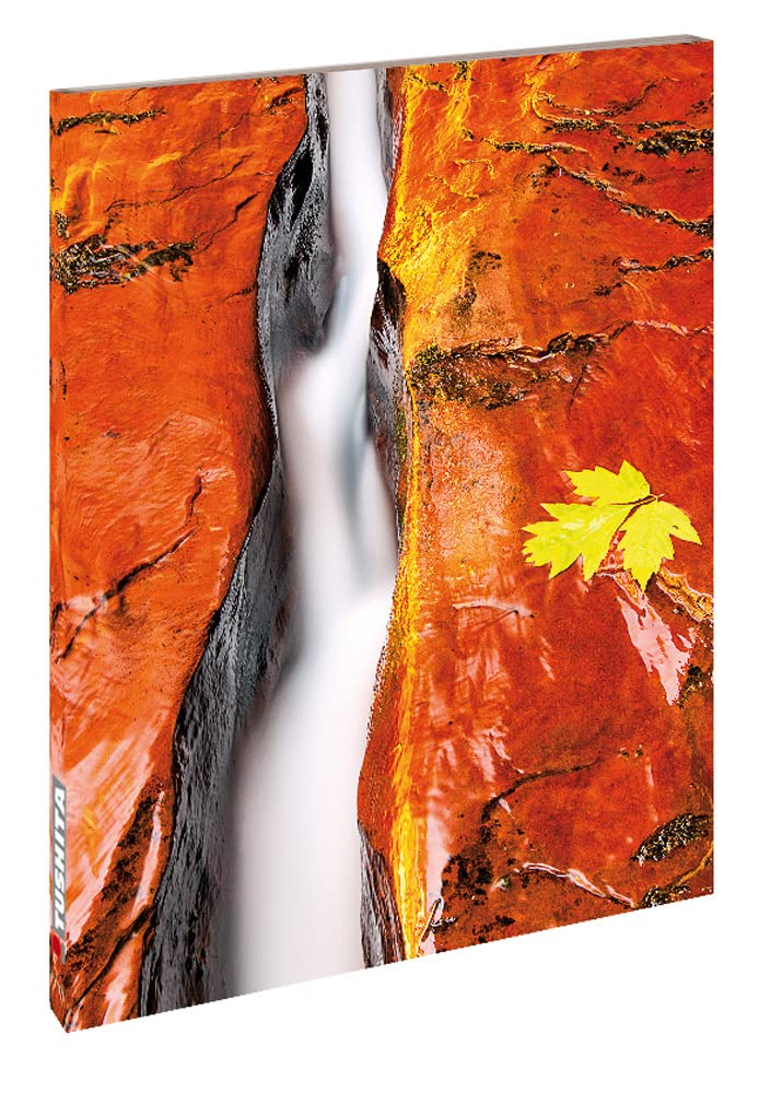 Product Image: Zen Nature