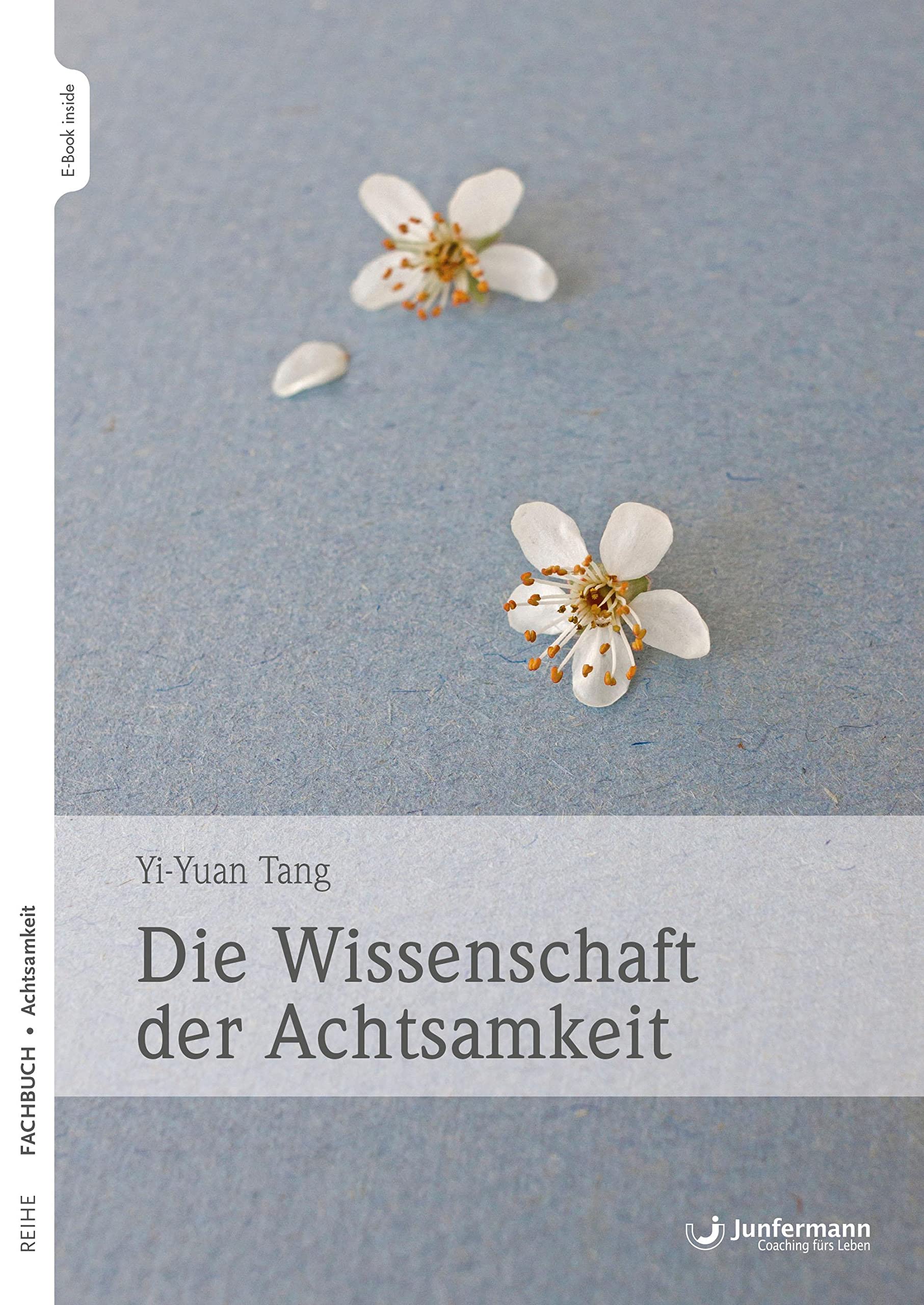 Die Wissenschaft der Achtsamkeit Lifestyle