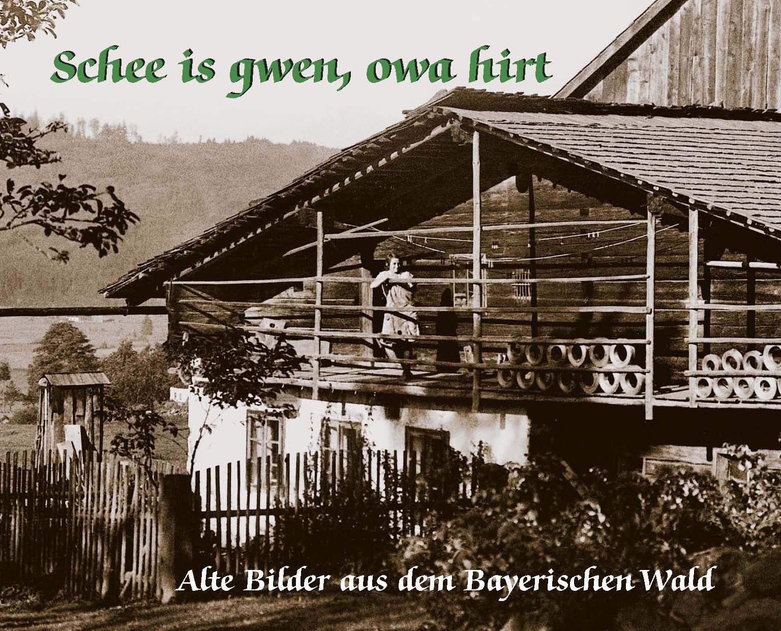 Product Image: Schee is gwen, owa hirt