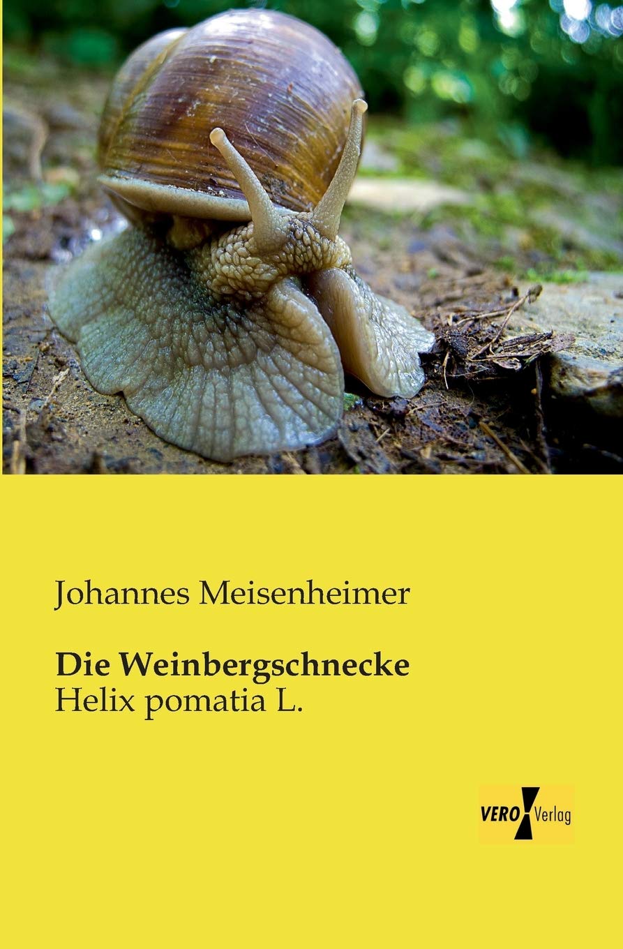 Die Weinbergschnecke: Helix pomatia L. Mathematics