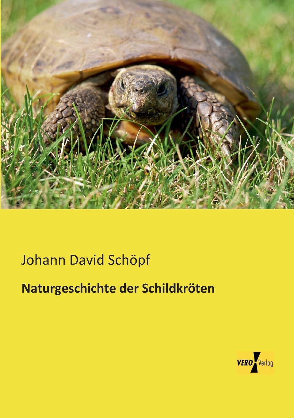 Naturgeschichte der Schildkroeten Mathematics