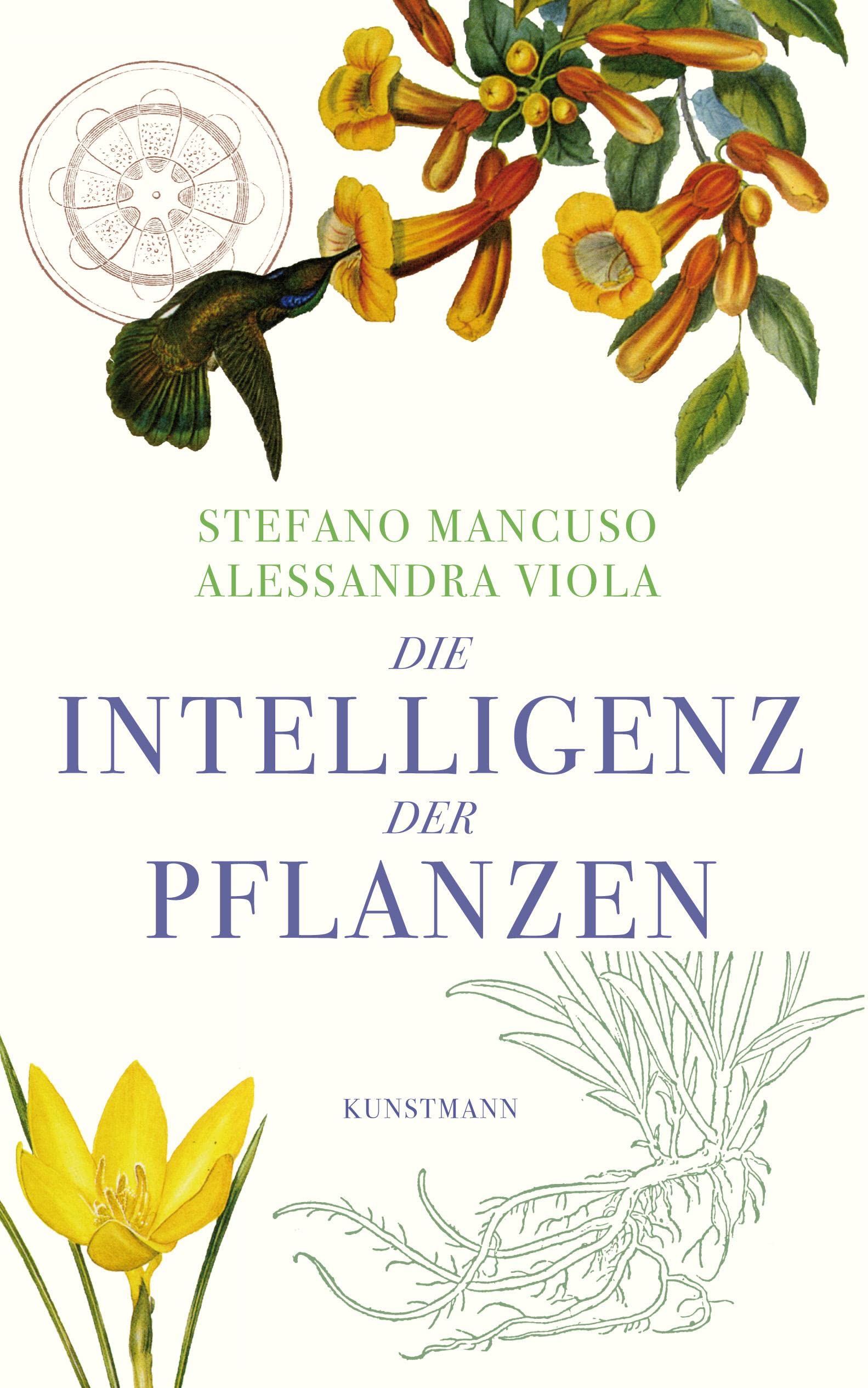 Die Intelligenz der Pflanzen Mathematics