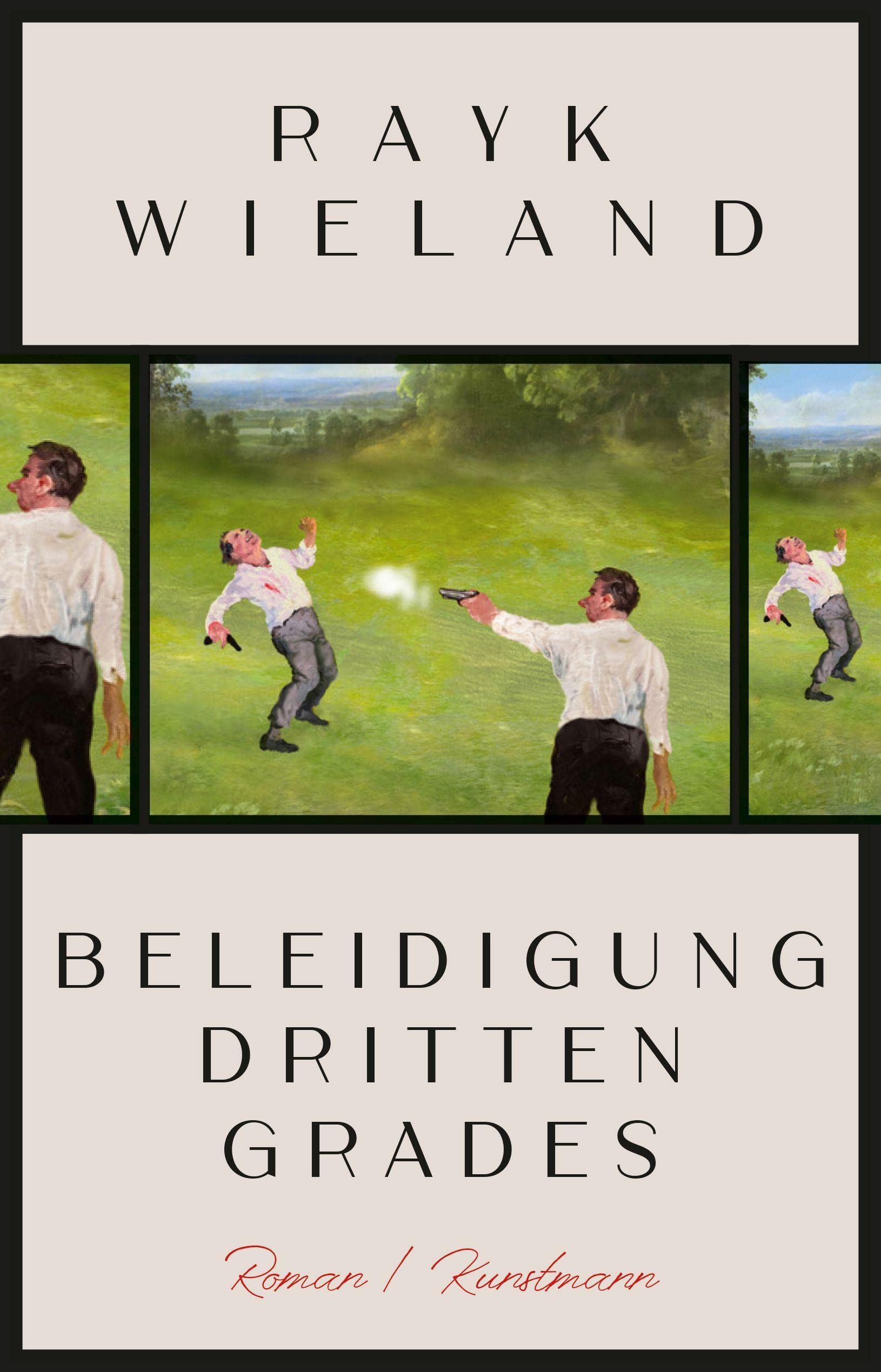 Beleidigung dritten Grades Contemporary literature Books