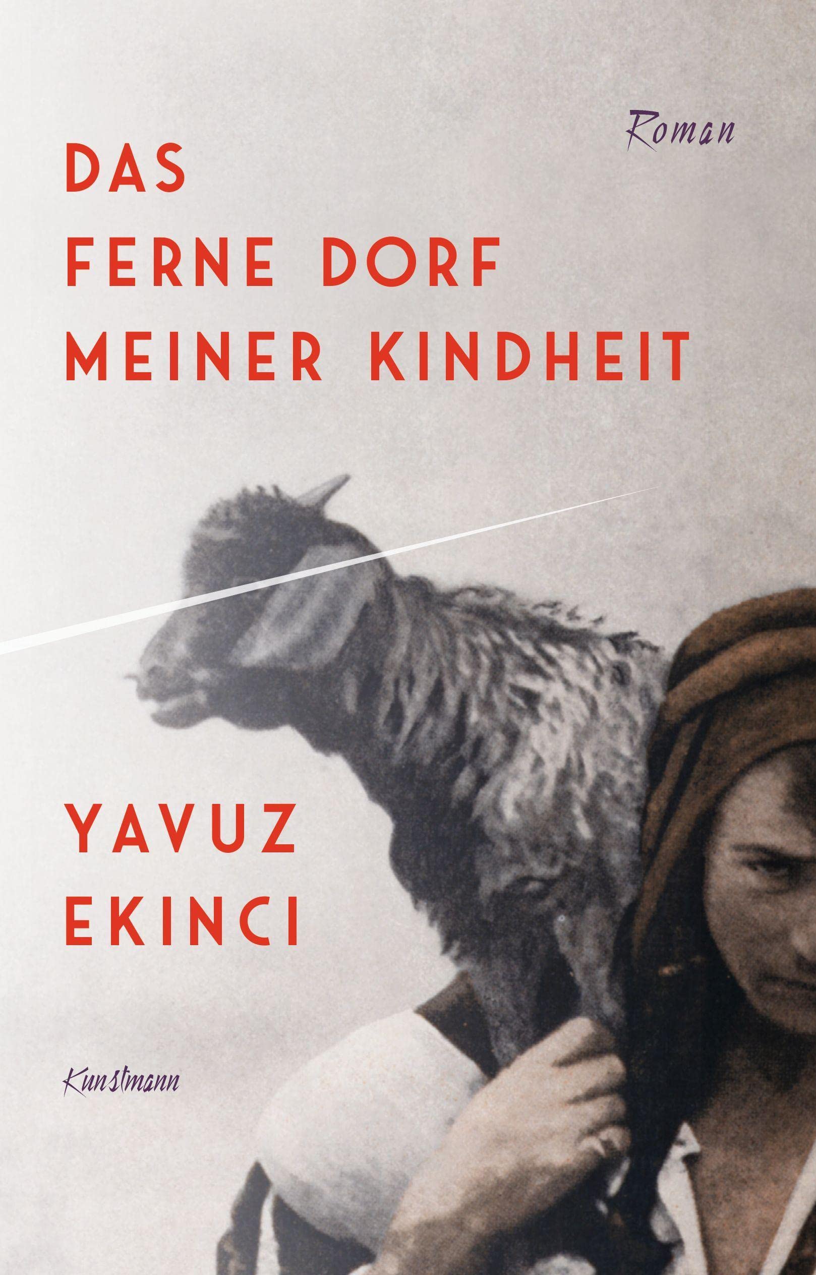 Das ferne Dorf meiner Kindheit Contemporary literature