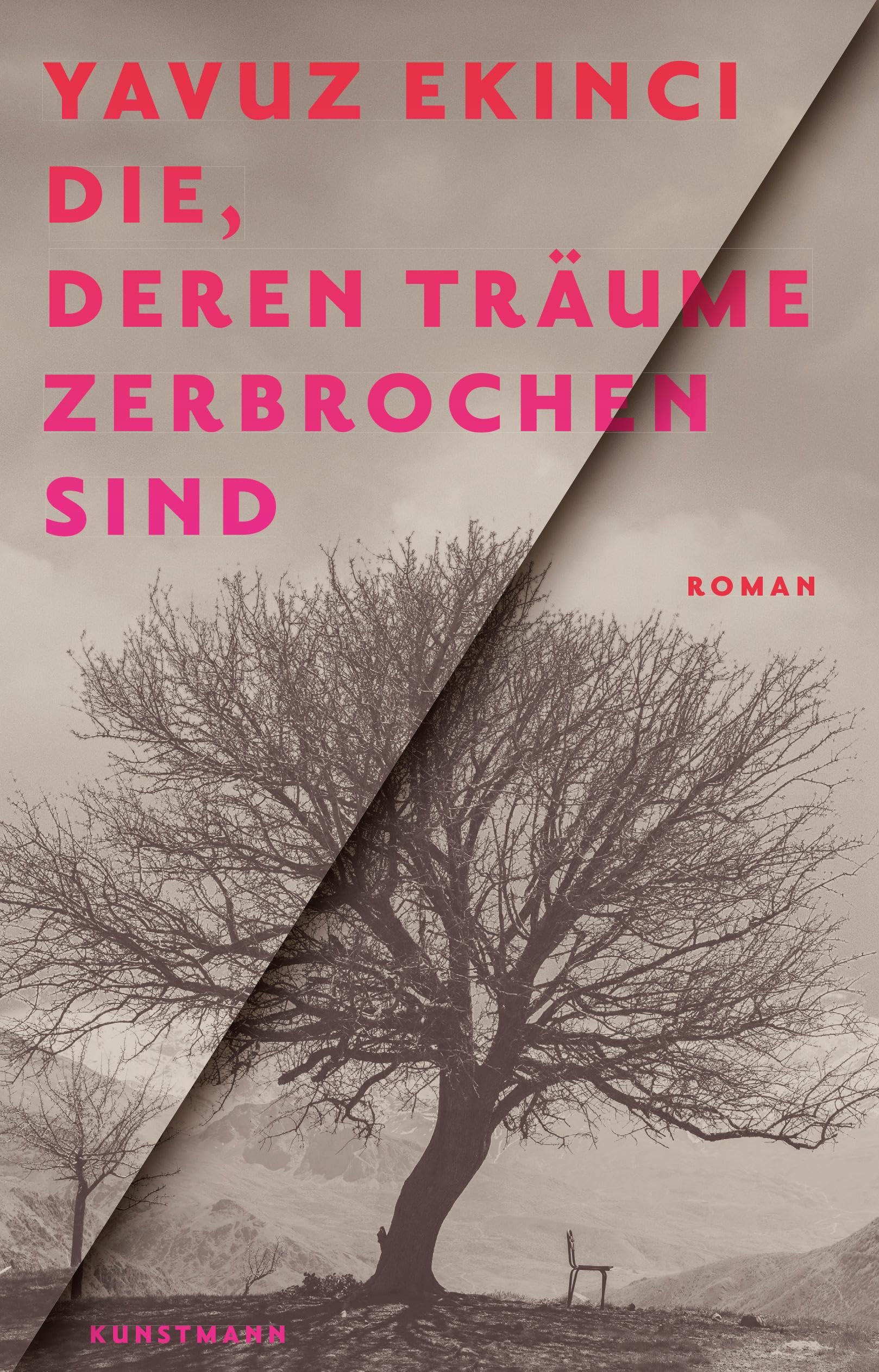 Die, deren Träume zerbrochen sind Contemporary literature