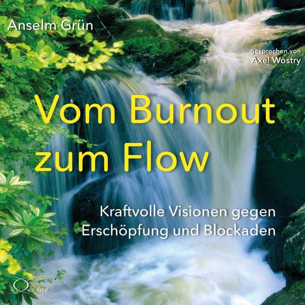 Product Image: Vom Burnout zum Flow