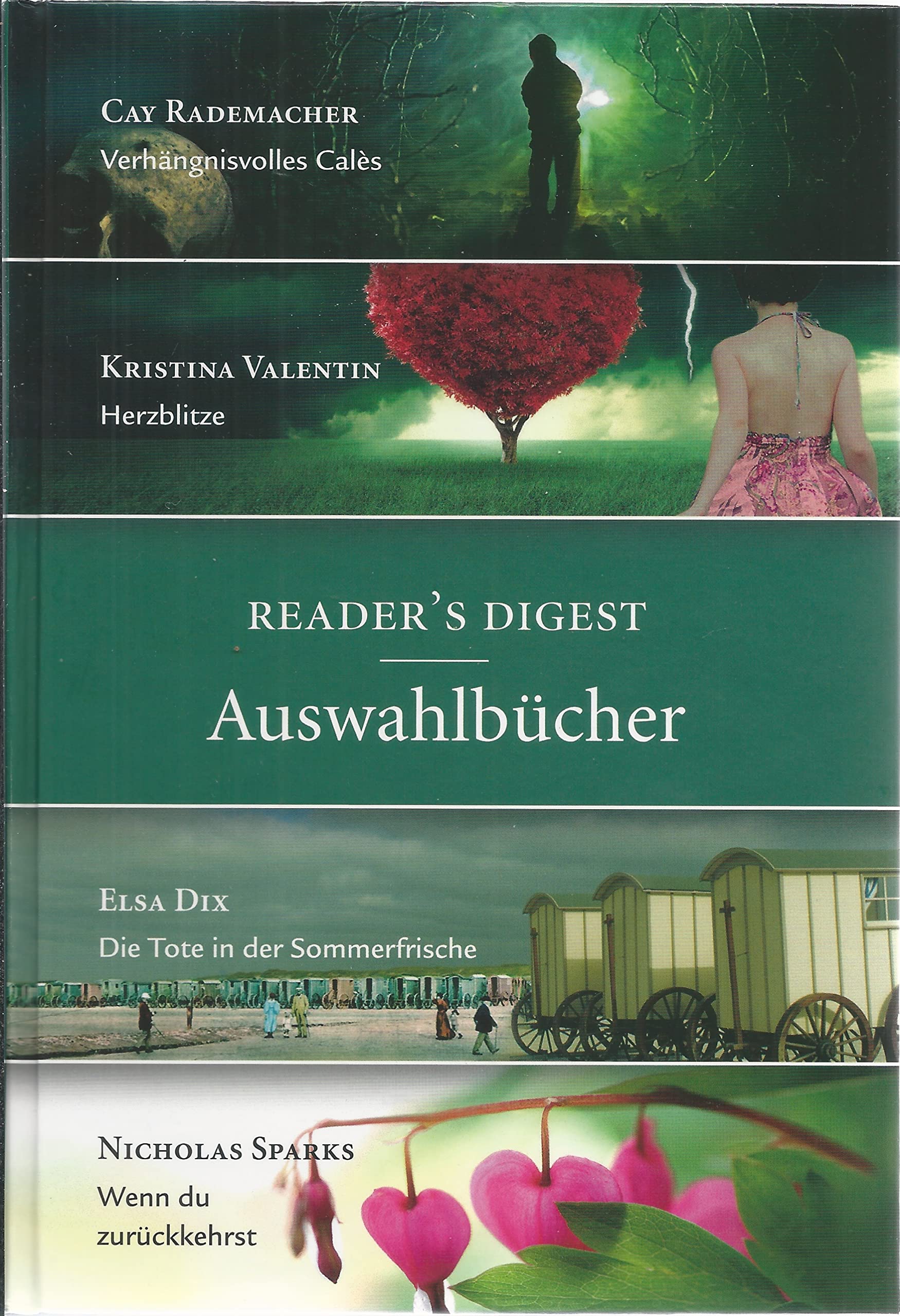 auswahlbücher (cay rademacher, kristina valentin, elsa dix, nicholas sparks) Books