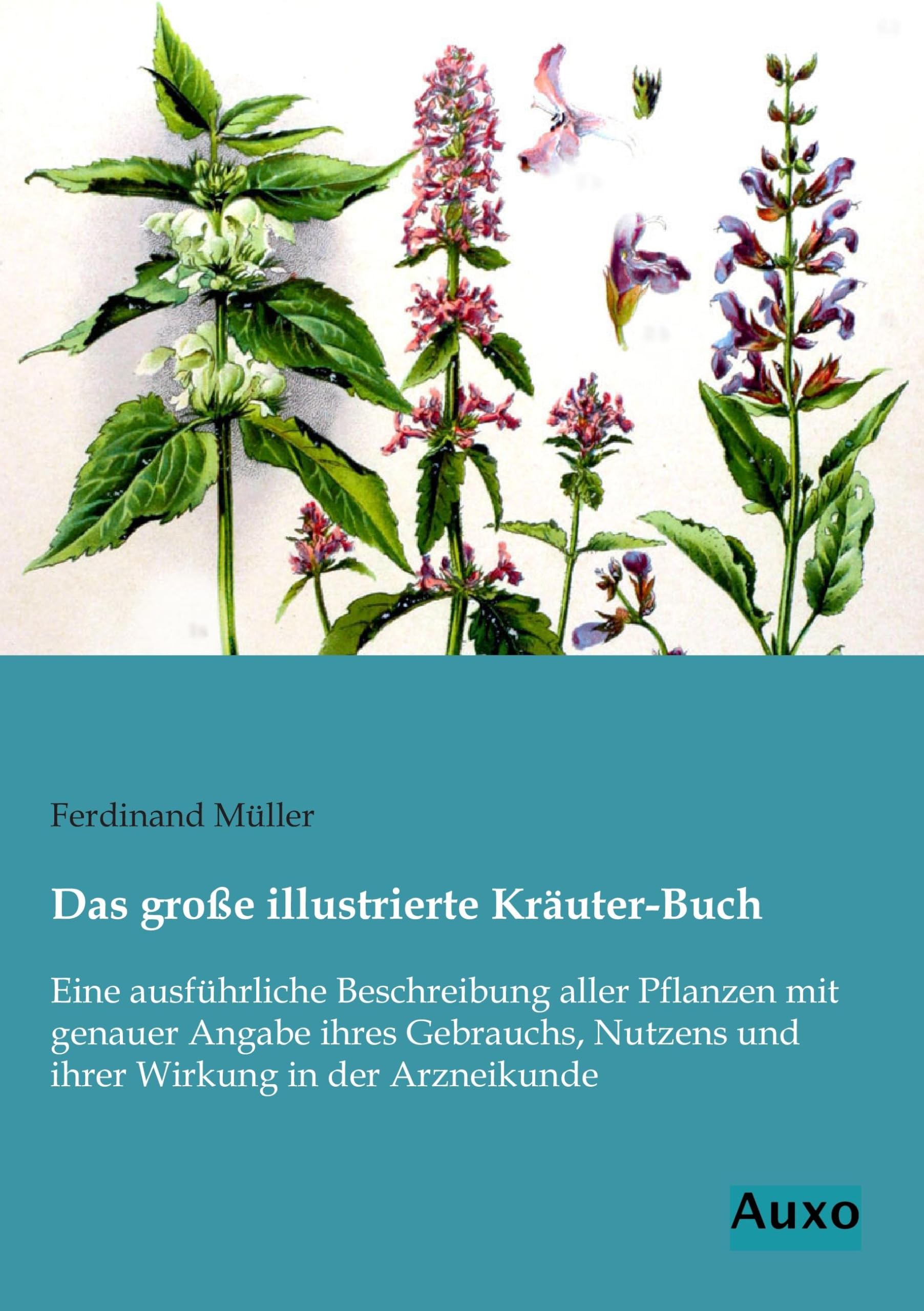 Das grosse illustrierte Kraeuter-Buch: Eine ausführliche Beschreibung aller Pflanzen mit genauer Angabe ihres Gebrauchs, Nutzens und ihrer Wirkung in der Arzneikunde Medicine