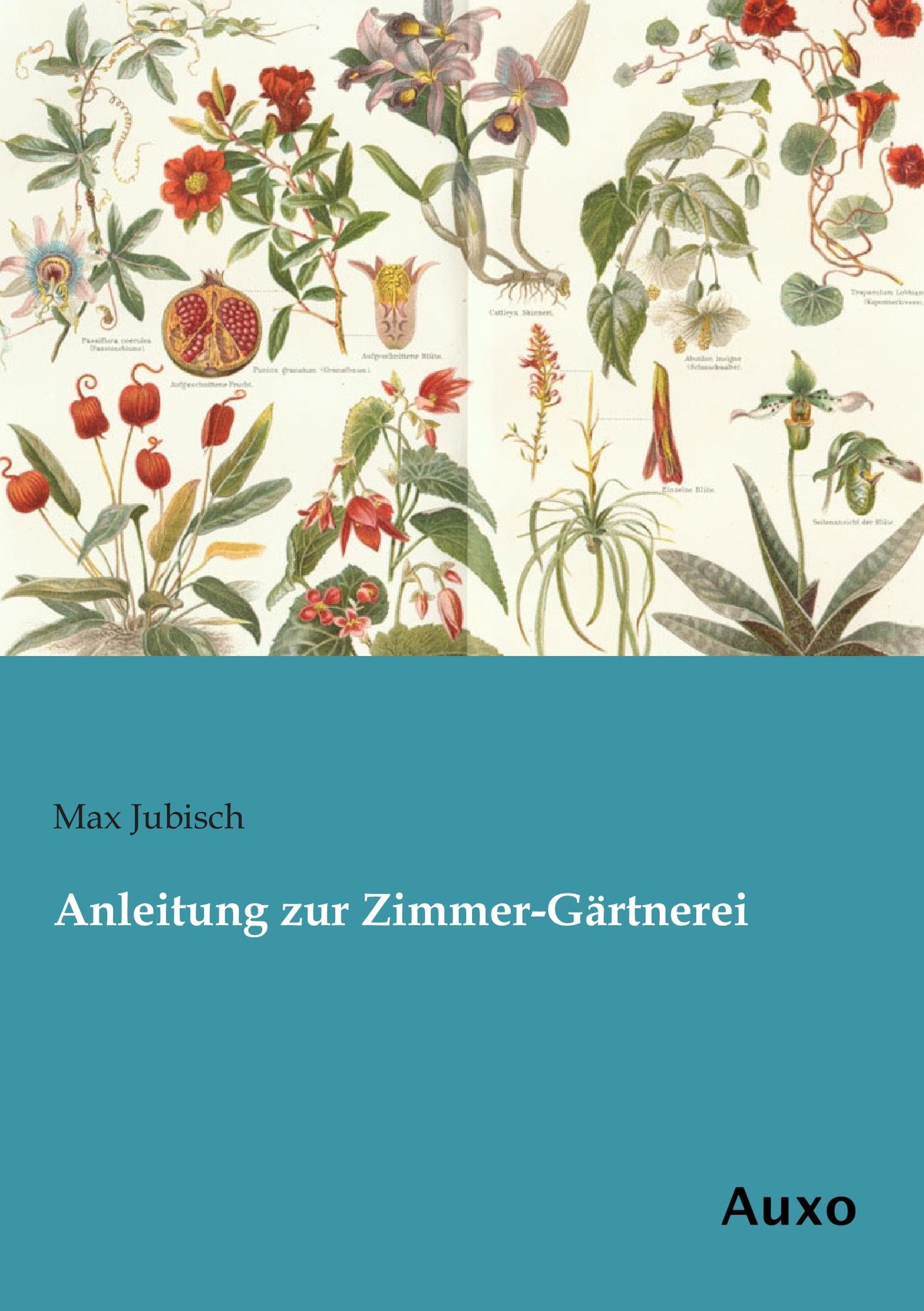 Anleitung zur Zimmer-Gaertnerei Garden & Plants