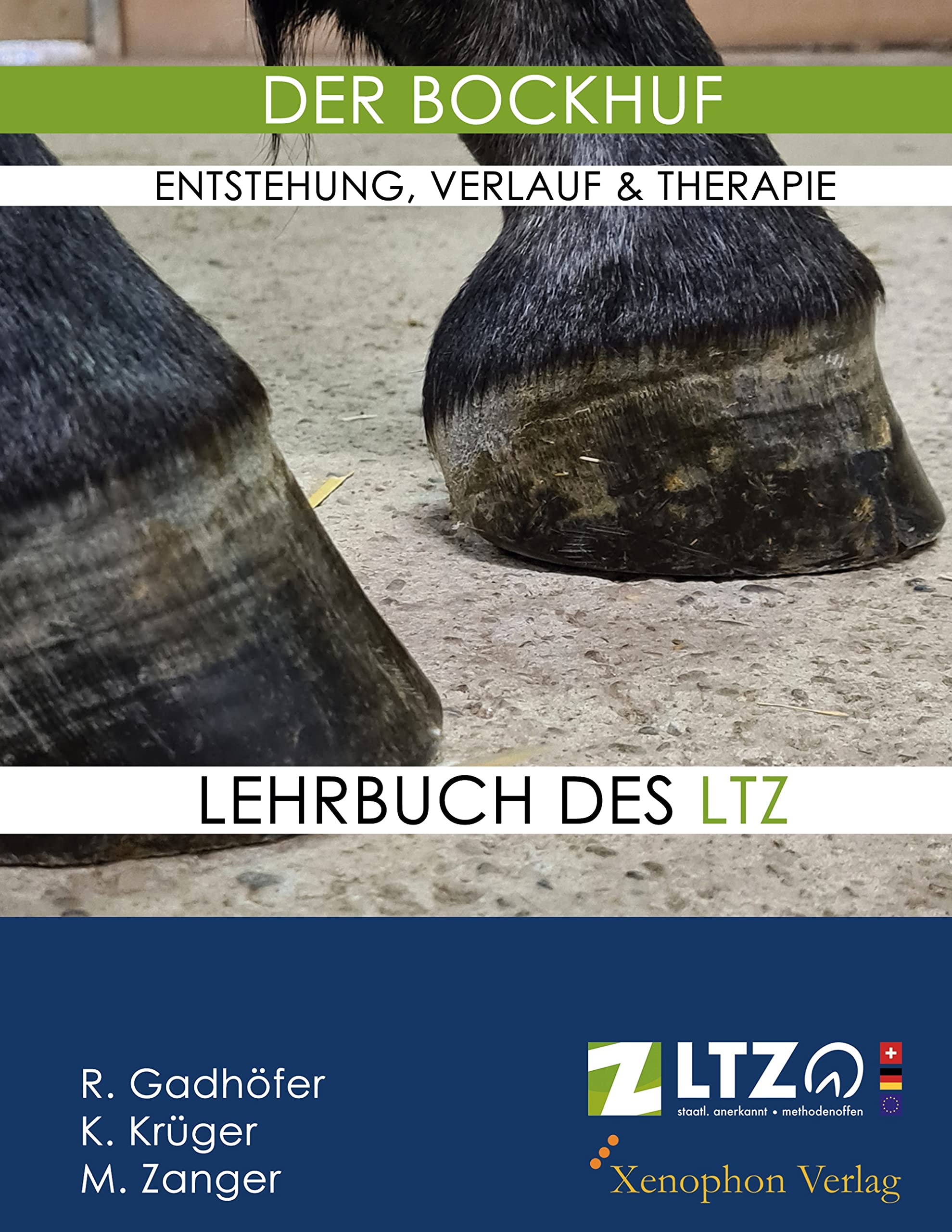 Der Bockhuf: Entstehung, Verlauf und Therapie des erworbenen Bockhufs Medicine