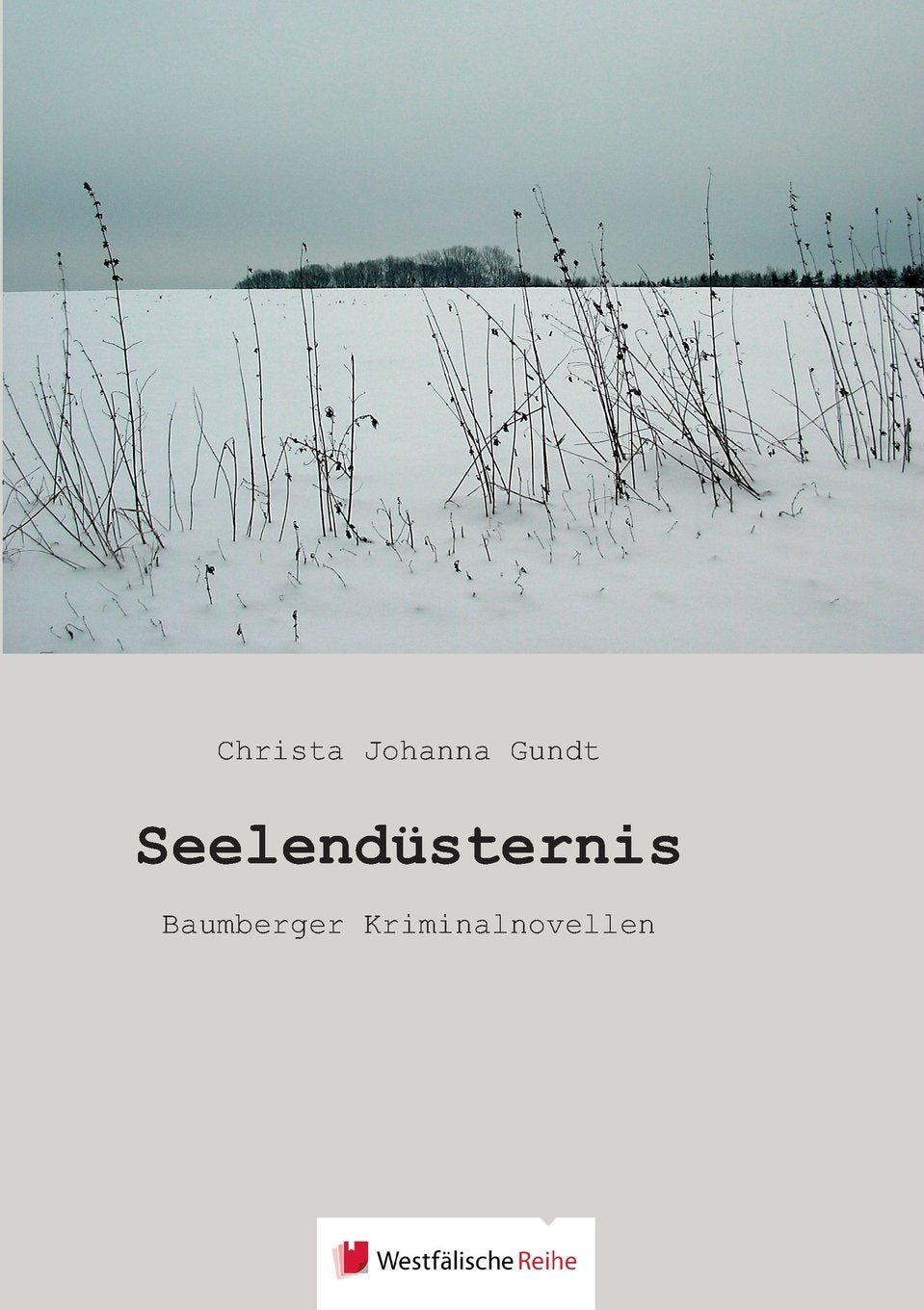 Seelendüsternis Contemporary literature