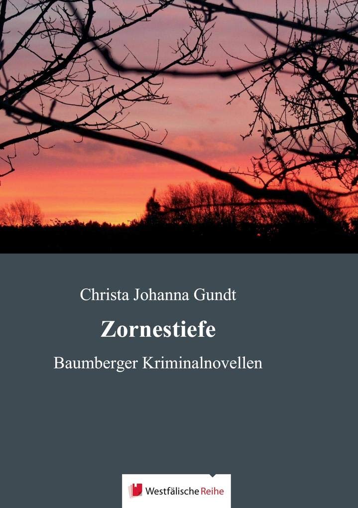 Zornestiefe: Baumberger Kriminalnovellen Contemporary literature