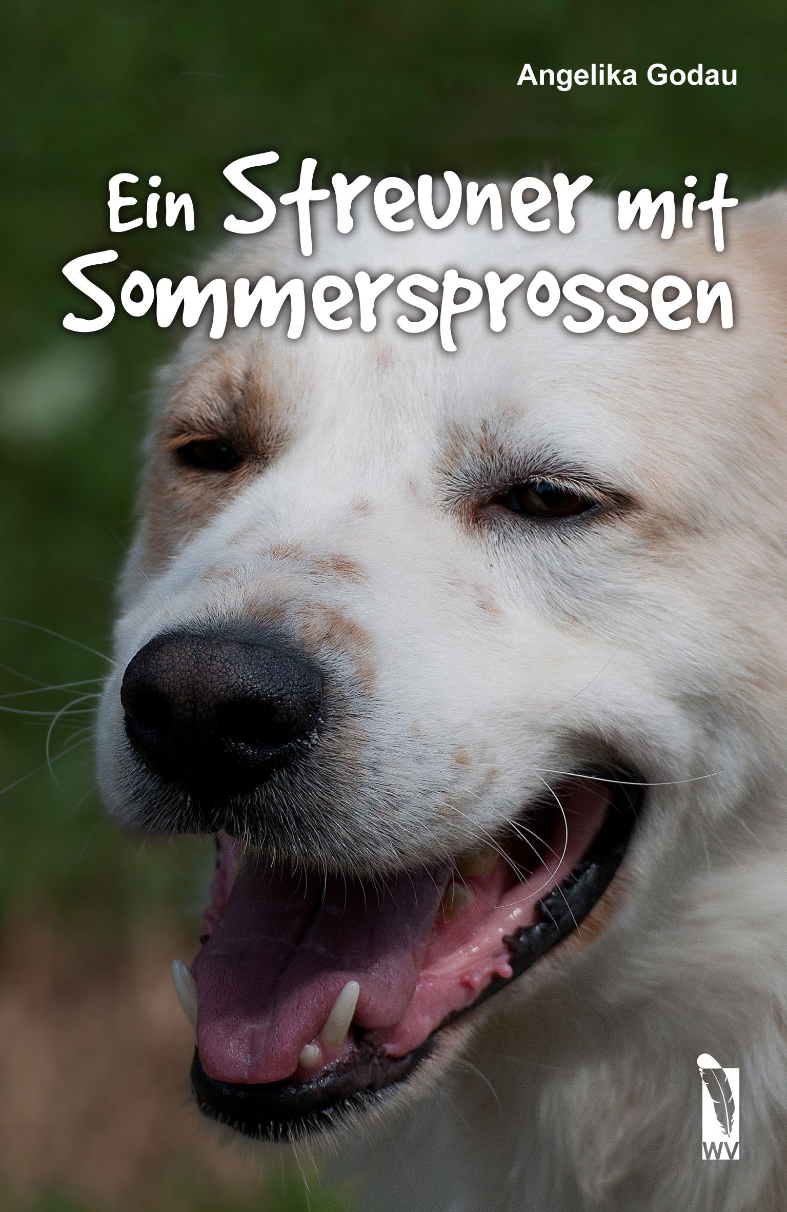 Ein Streuner mit Sommersprossen Contemporary literature