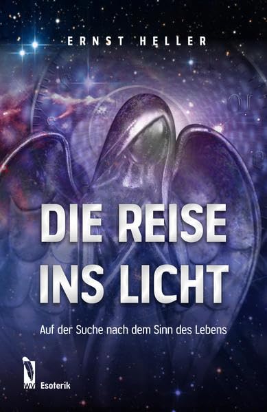 Die Reise ins Licht Contemporary literature Books