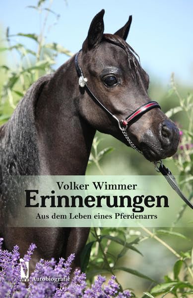 Erinnerungen Contemporary literature Books