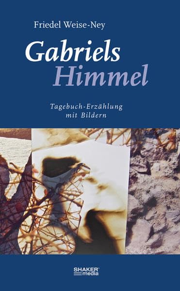 Gabriels Himmel Contemporary literature Books