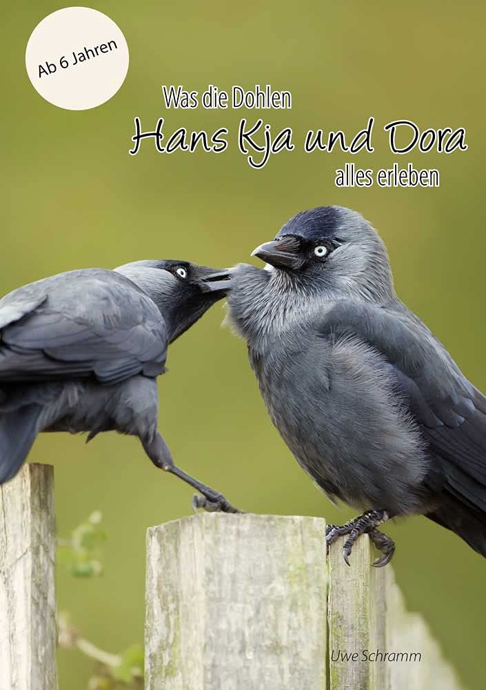 Was die Dohlen Hans Kja und Dora alles erleben Parents & Children