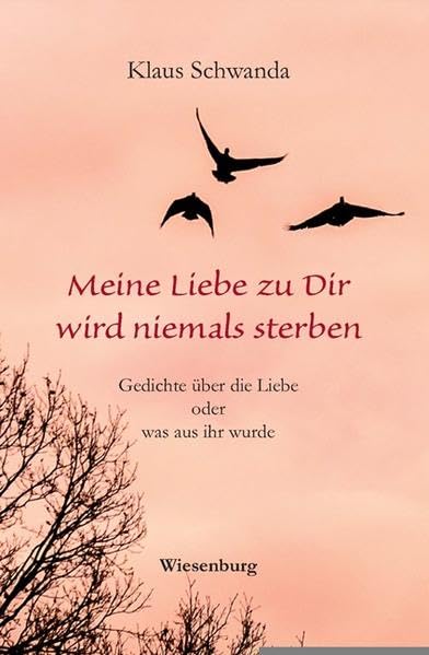 Meine Liebe zu Dir wird niemals sterben: Gedichte über die Liebe oder was aus ihr wurde book