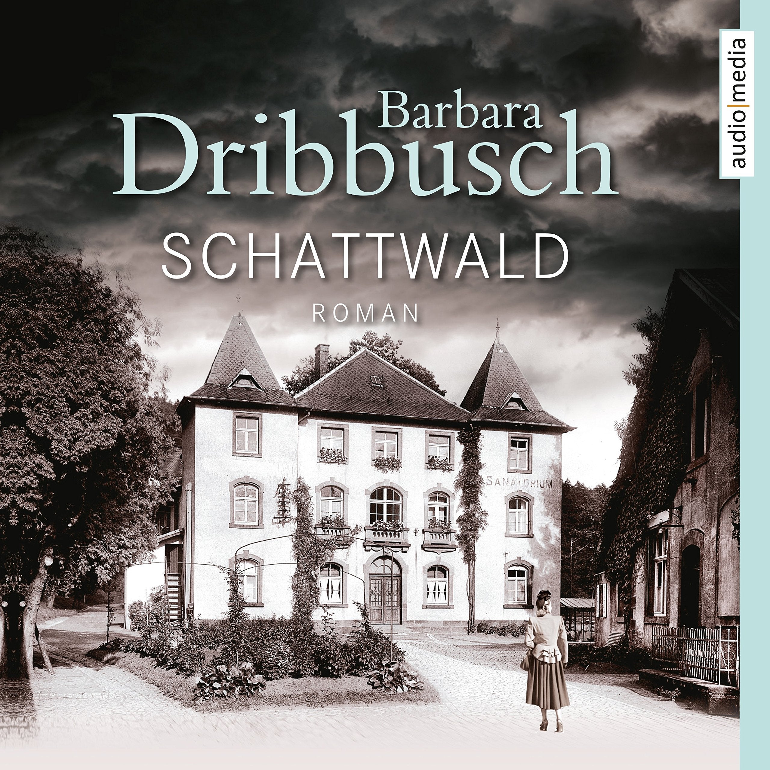 Schattwald Contemporary literature Books