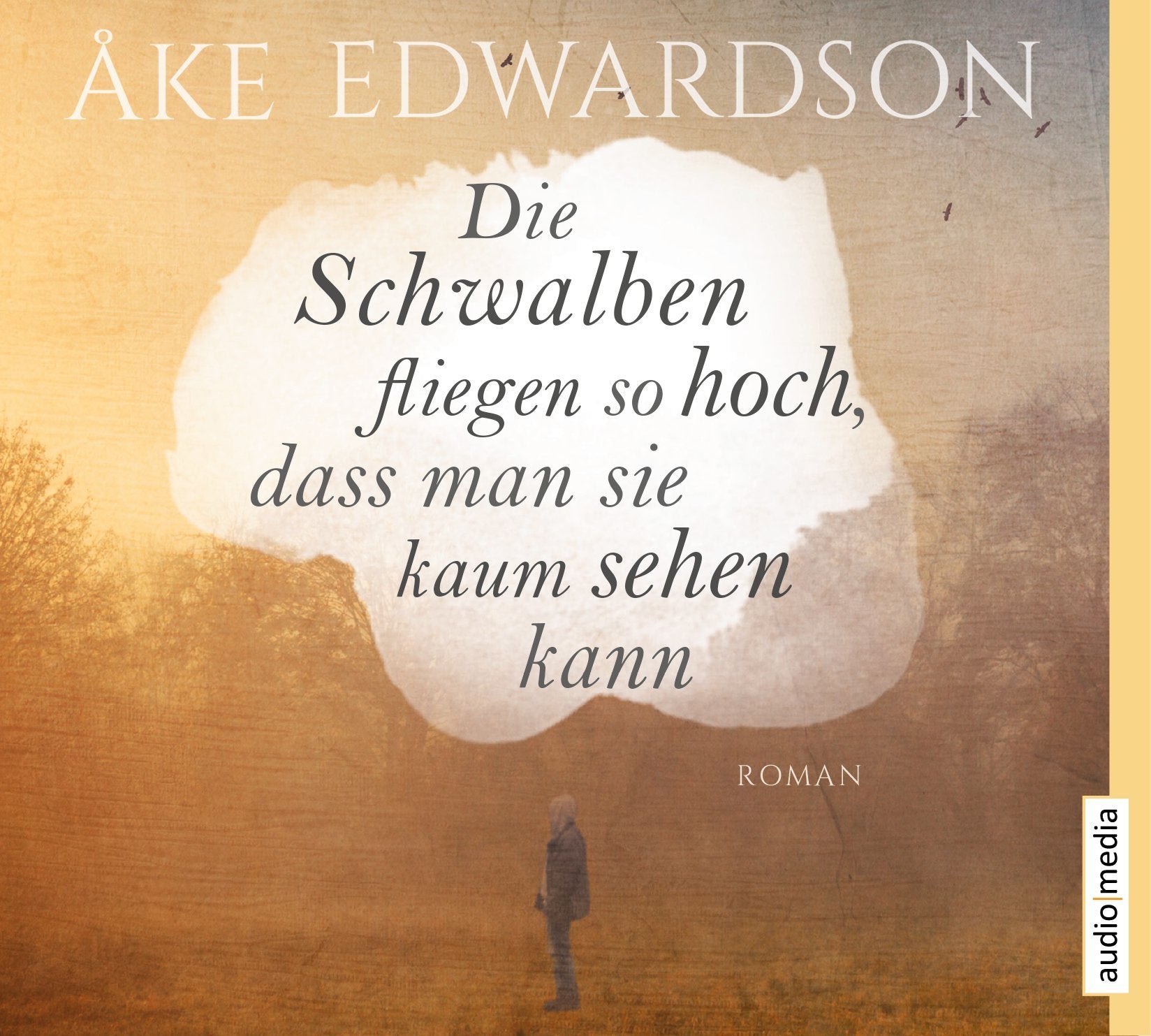 Die Schwalben fliegen so hoch, dass man sie kaum sehen kann Contemporary literature