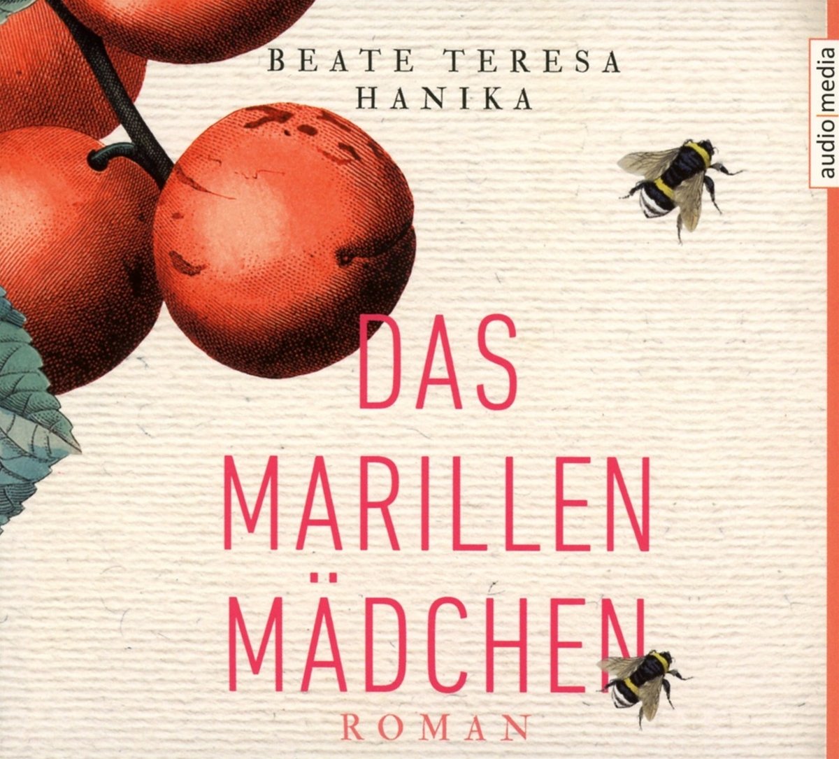 Das Marillenmädchen Contemporary literature Books