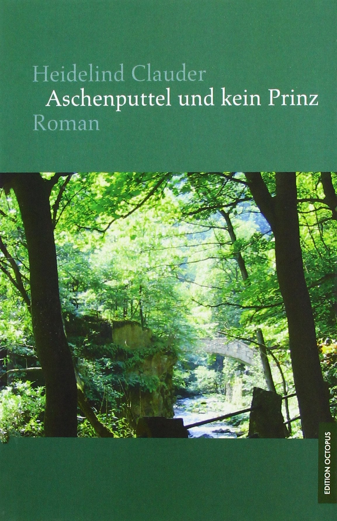 Aschenputtel und kein Prinz Contemporary literature