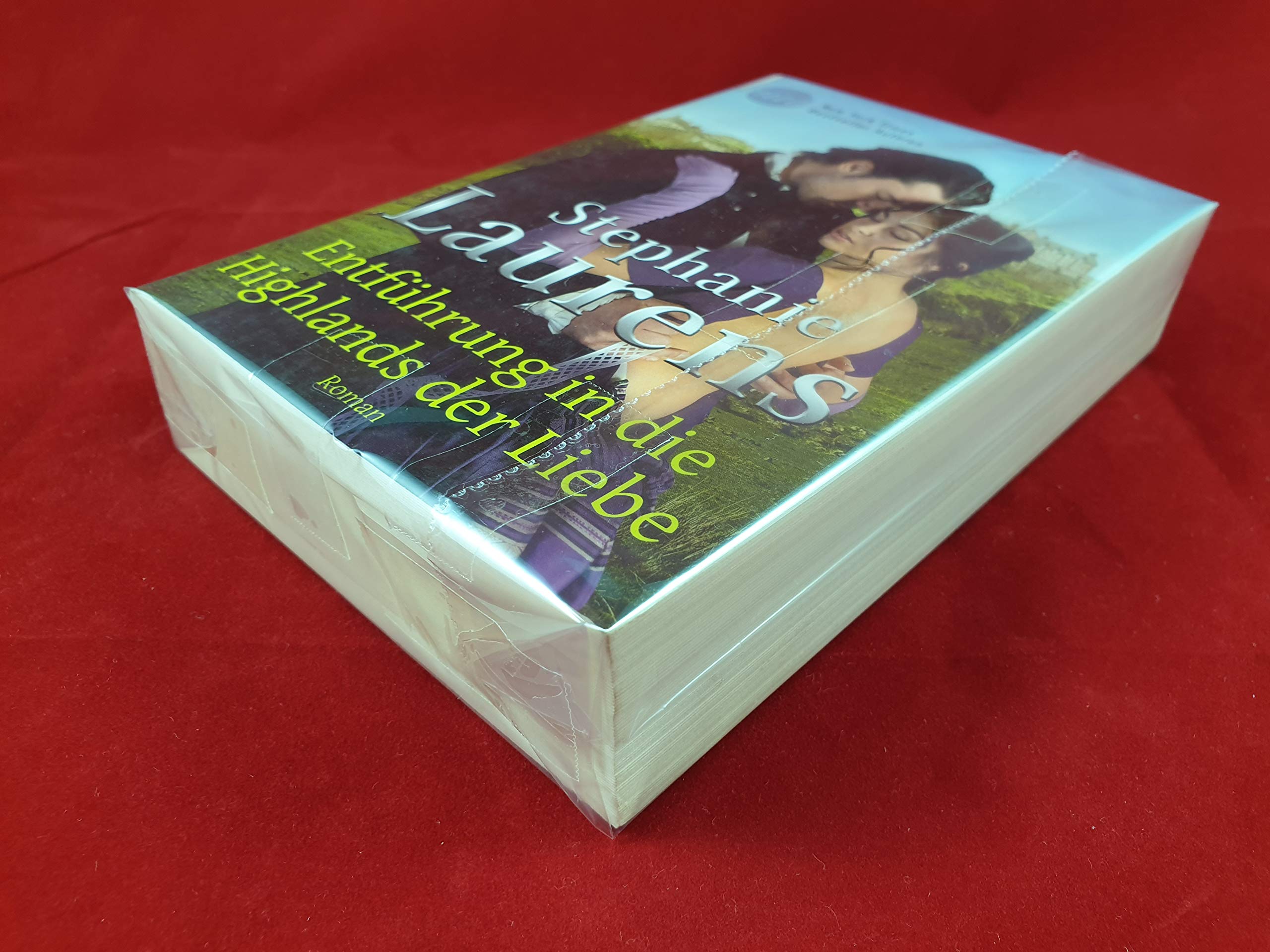 Entführung in die Highlands der Liebe Historical Fiction