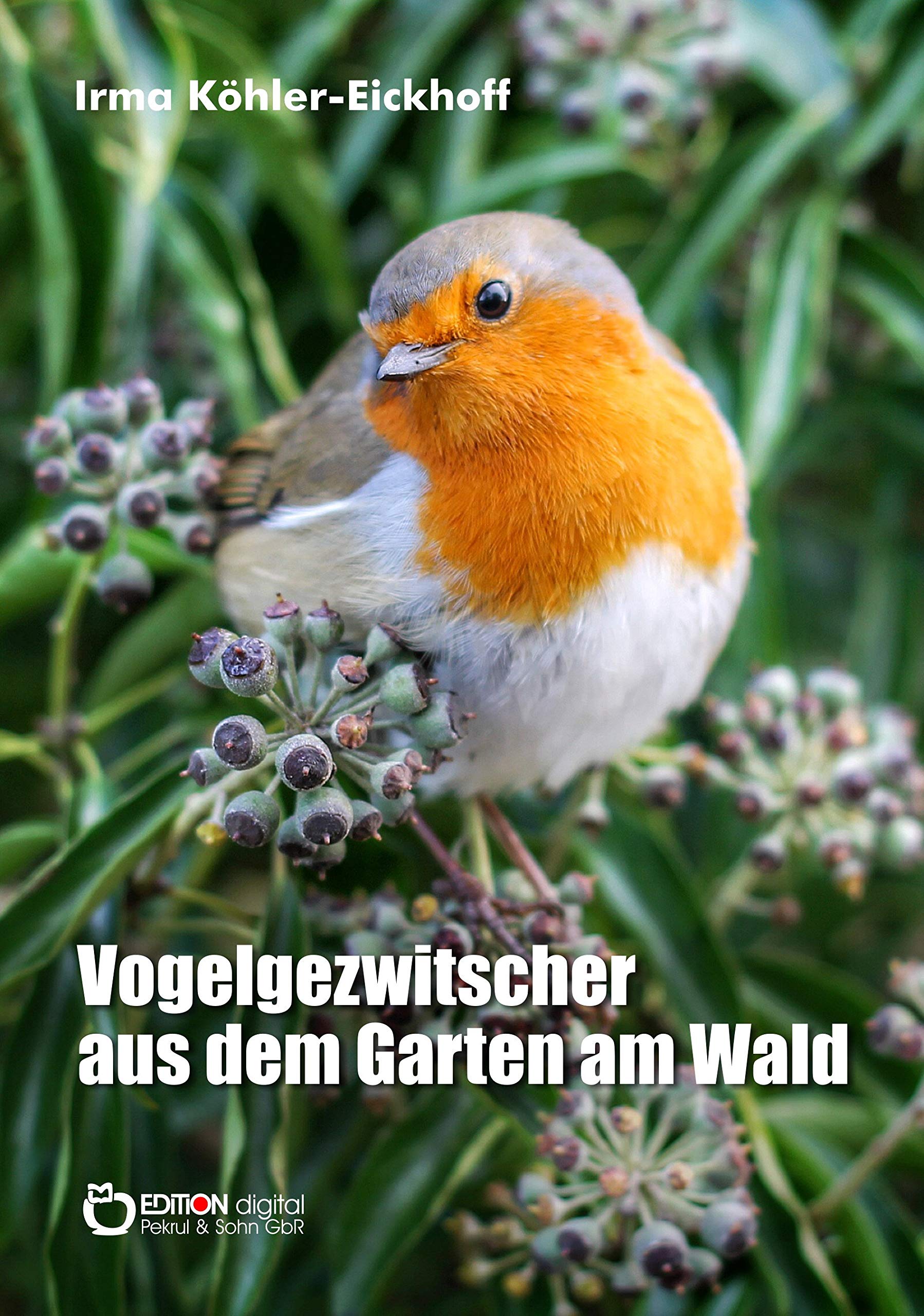 Vogelgezwitscher aus dem Garten am Wald Essays & Short Stories